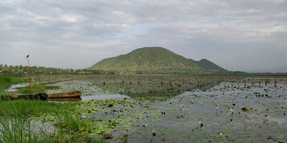 Kondakarla Bird Sanctuary, Visakhapatnam, Andhra Pradesh - Vushii.com Kondakarla Bird Sanctuary, Visakhapatnam, Andhra Pradesh - Vushii.com
